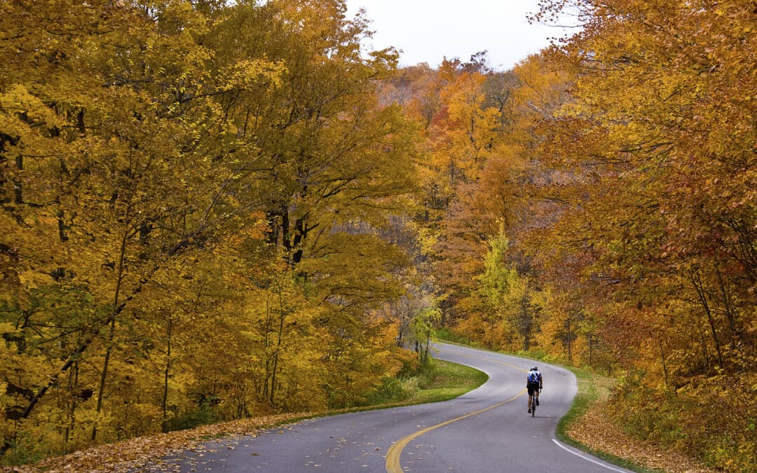 Experience the joy and health benefits of cycling.