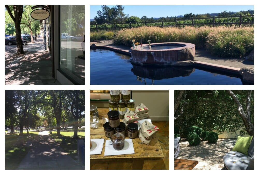 Six ways to rejuvenate during your visit to Healdsburg.